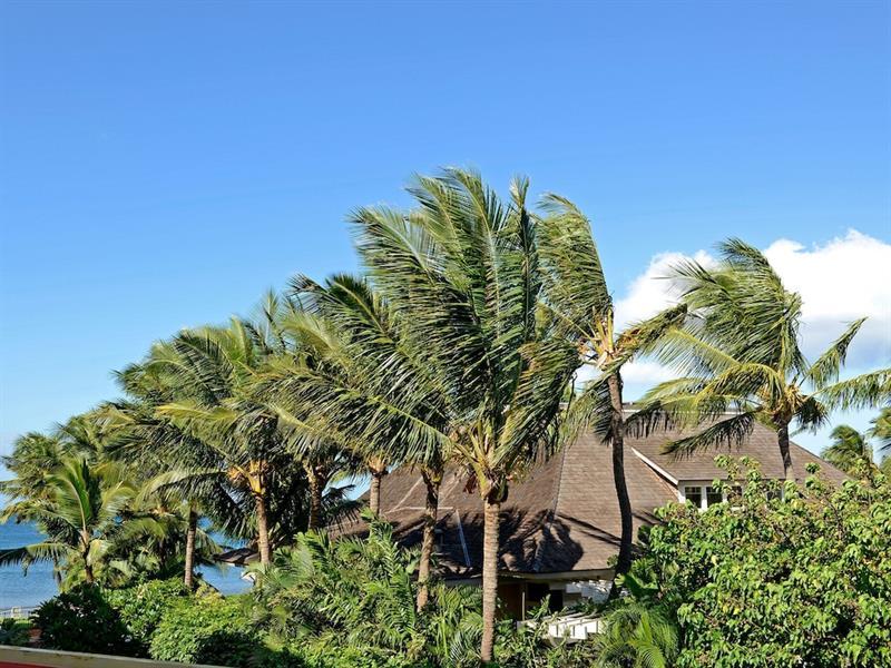 Nani Kai Hale 303 By Vacation Rental Pros Vr Kihei Buitenkant foto